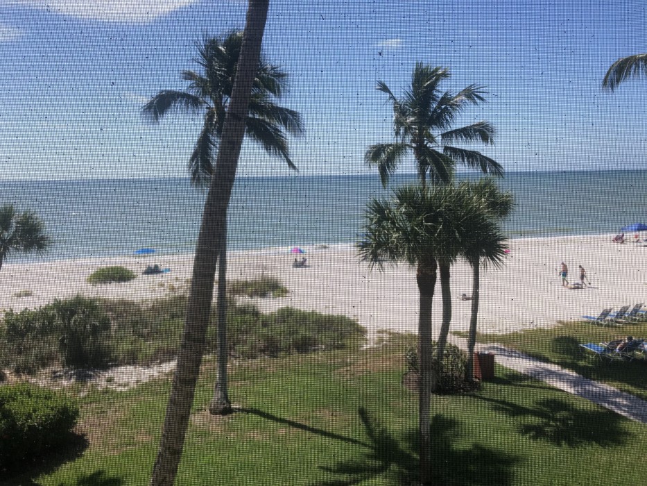 View from our lanai as expected after construction and landscaping.
