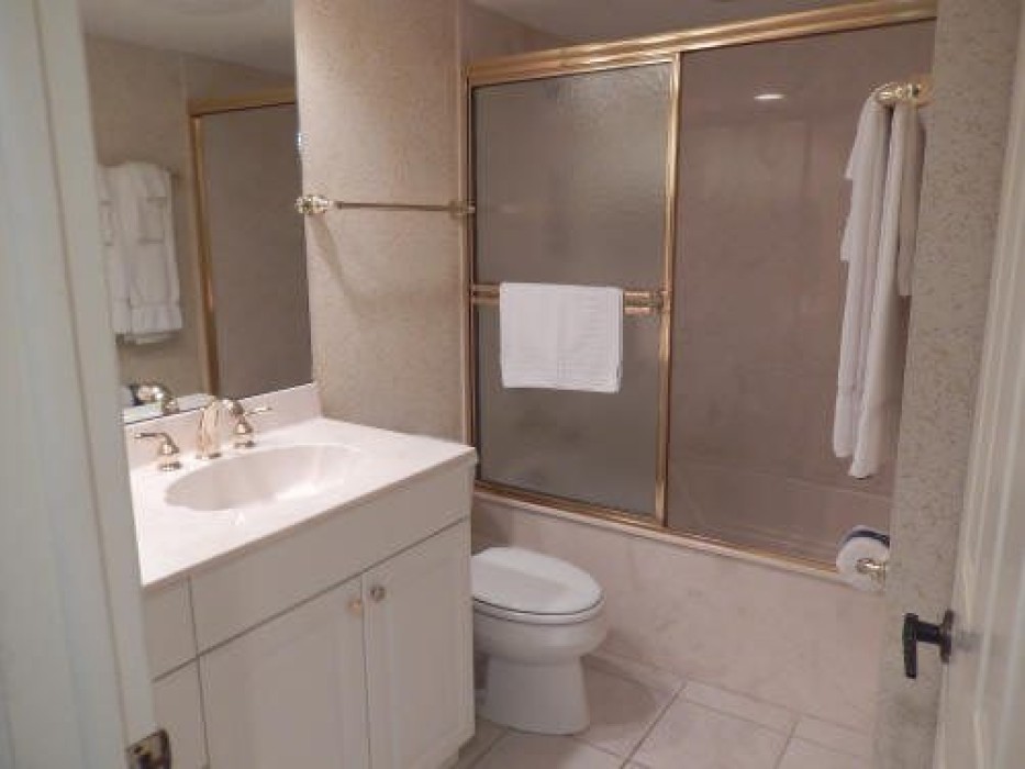 Guest bath