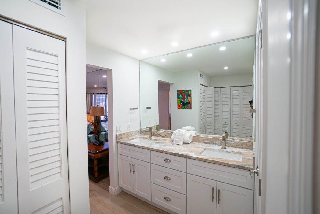 Master Bath Area