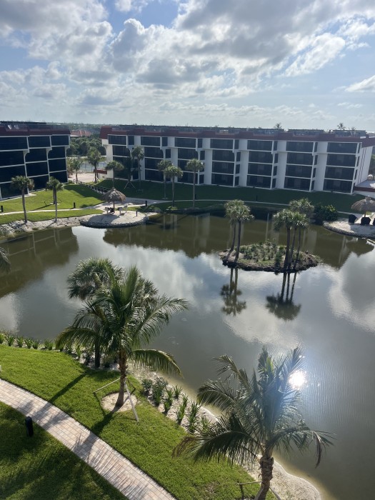 Lagoon