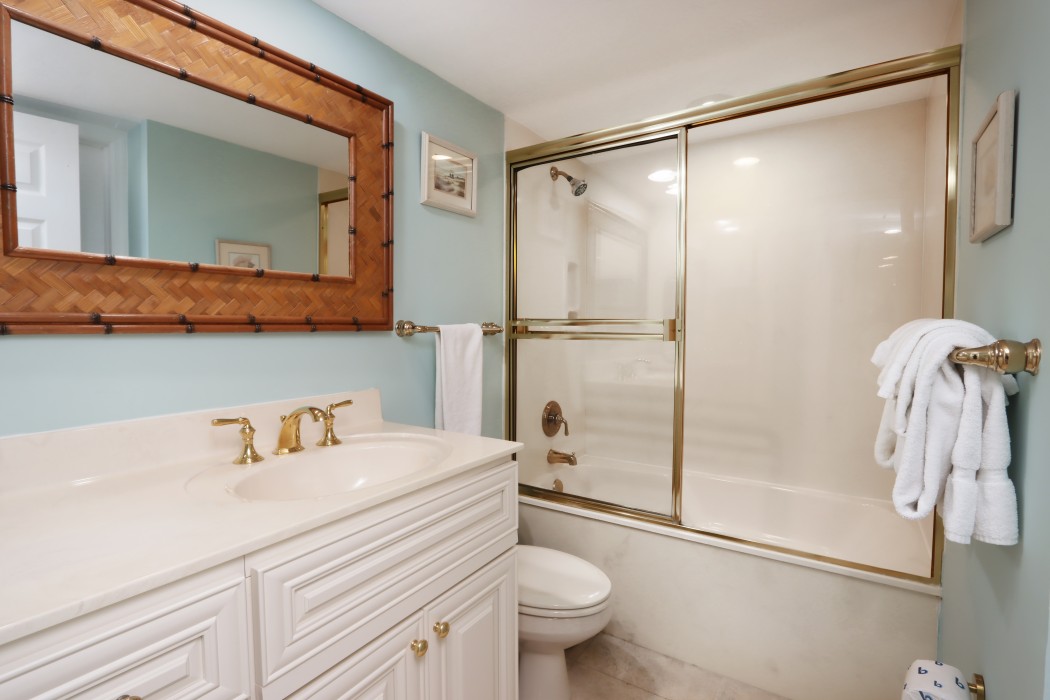Guest bathroom