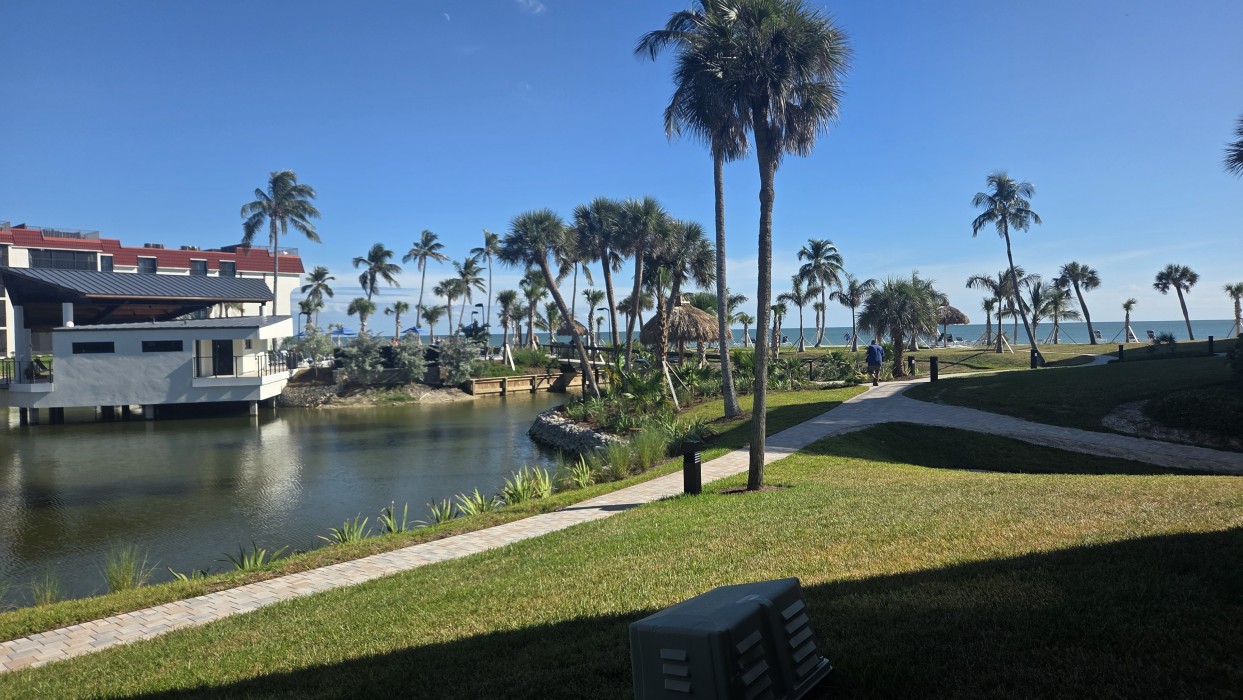 View From The Lanai