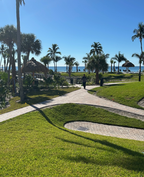 View from Lanai