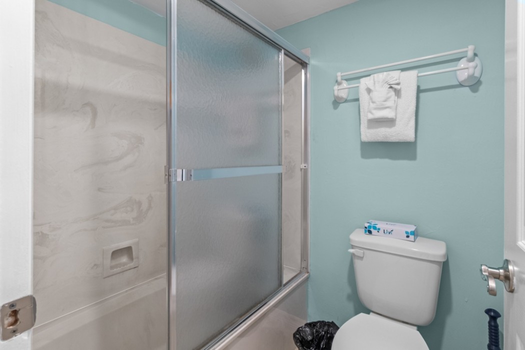 Master bathroom combo tub/shower & toilet