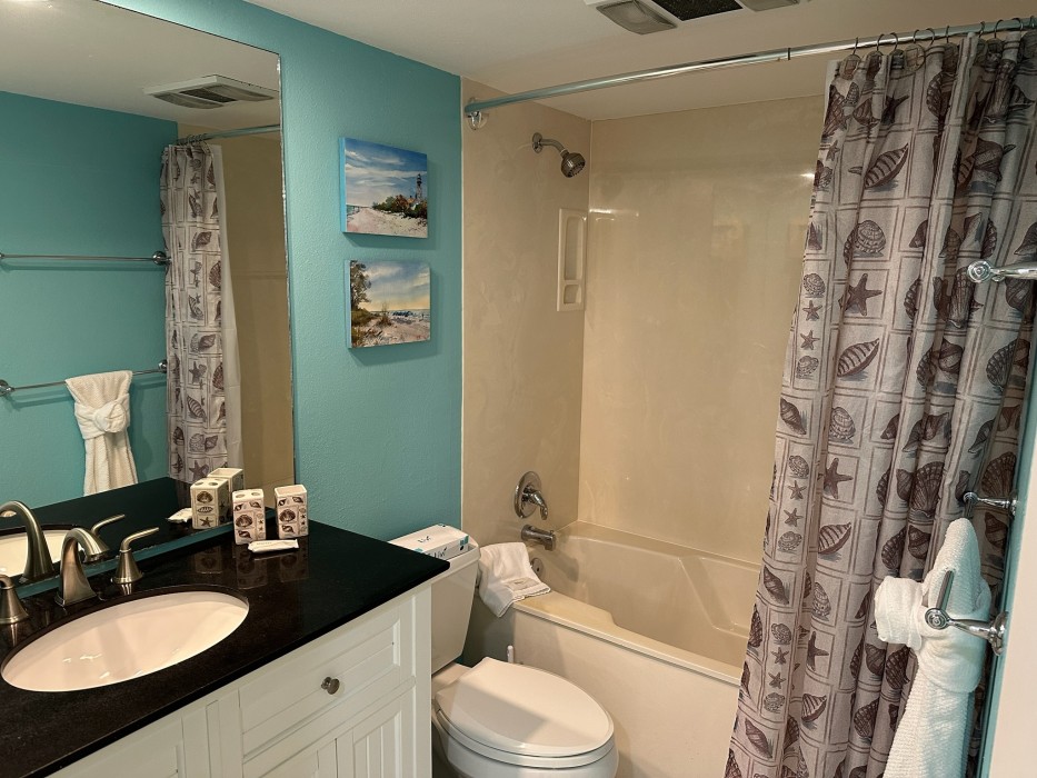 Guest Bath