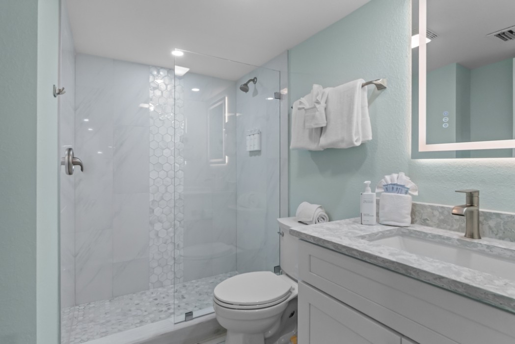 Guest bathroom with walk-in shower