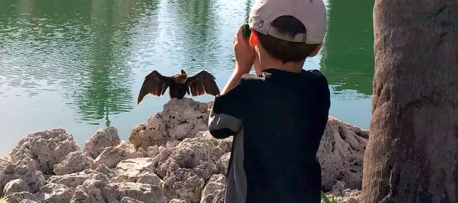 Watch Wildlife